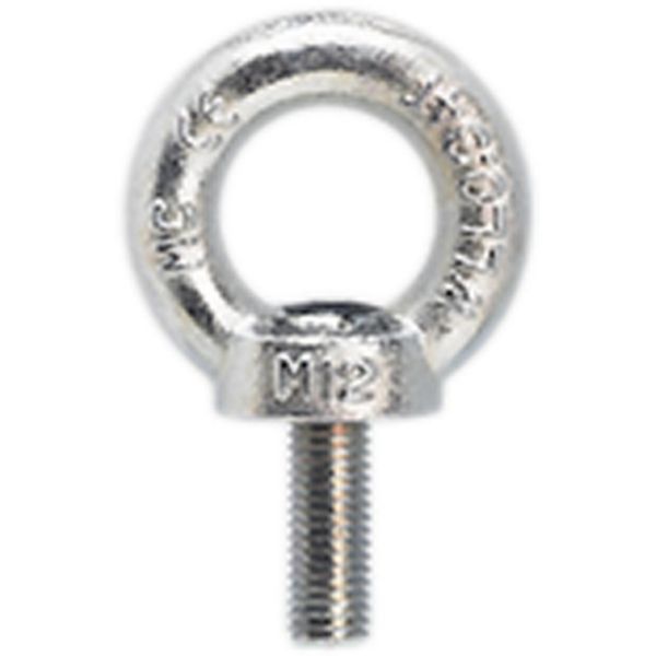 Eyebolts M12 to lift HDX cabinets (4)