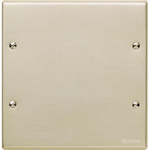 Cover plate blank