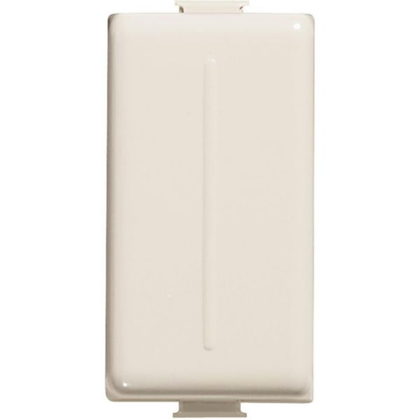 Blank plate Ivory