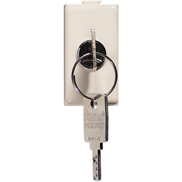 2-way switch 1P 16A 250 Vac with key