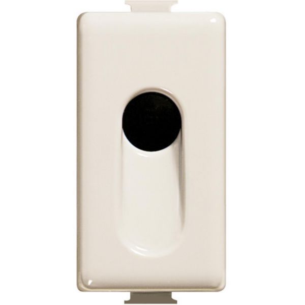Blank plate simple output - without terminals - diameter 9mm