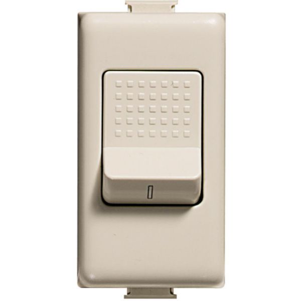 Switch 2P 32A 250Vac