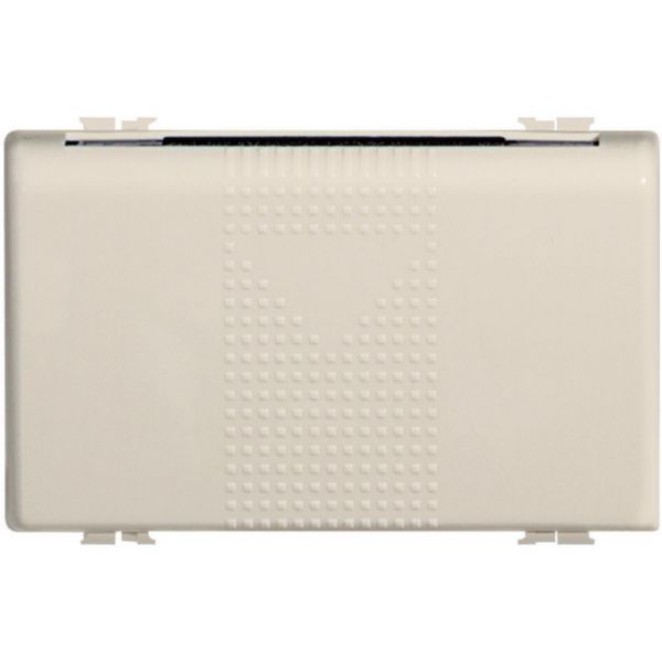 Badge-holder pocket