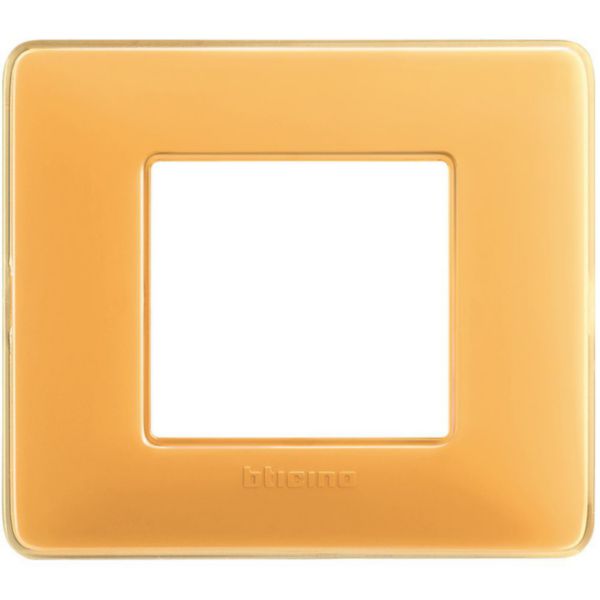 Cover plate 2 modules