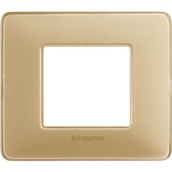 Cover plate 2 modules