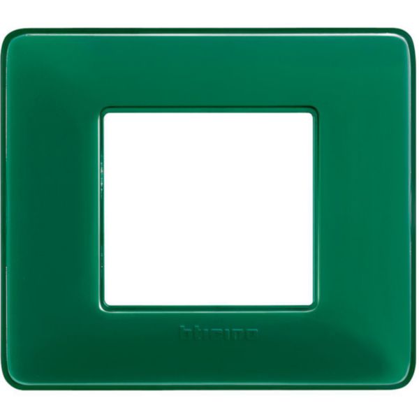 Cover plate 2 modules