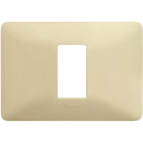Cover plate 1 module