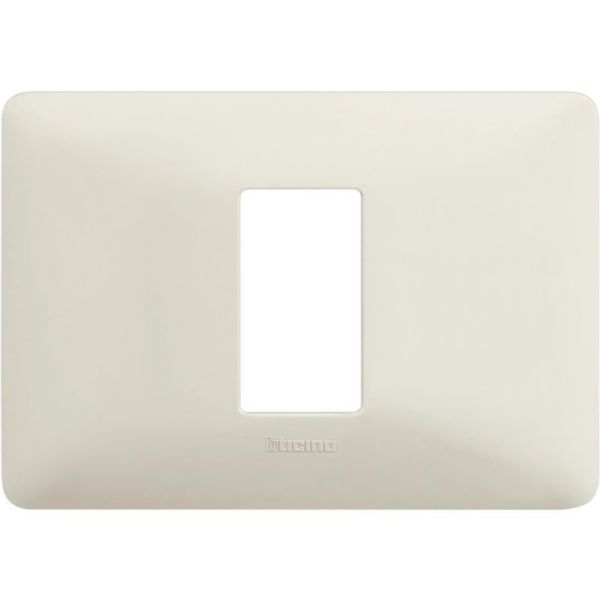 Cover plate 1 module