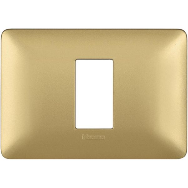 Cover plate 1 module