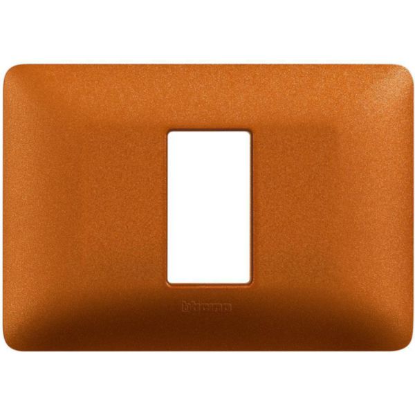 Cover plate 1 module