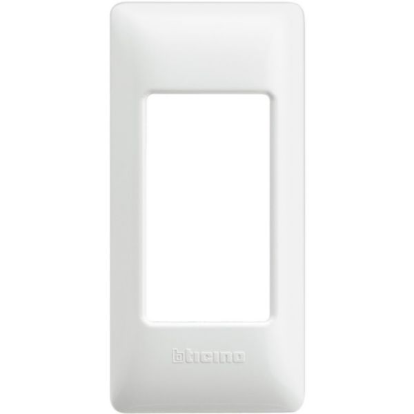Cover plate 1 module for rails