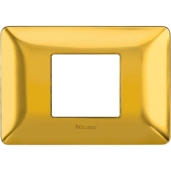 Cover plate 2 modules centred