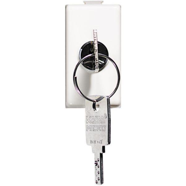 2-way switch 1P 16A 250 Vac with key
