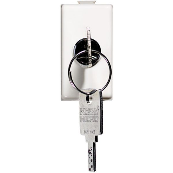 Pushbutton 2P (NO) 10A - 250 Vac with key