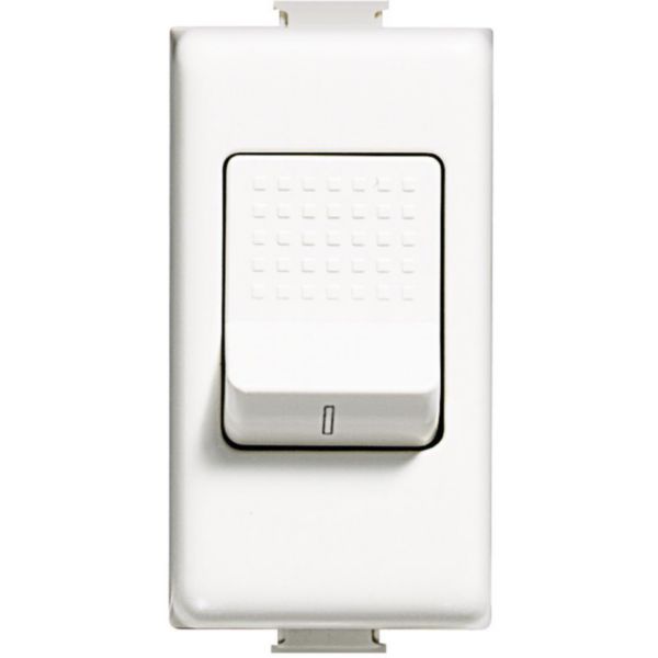 Switch 2P 32A 250Vac