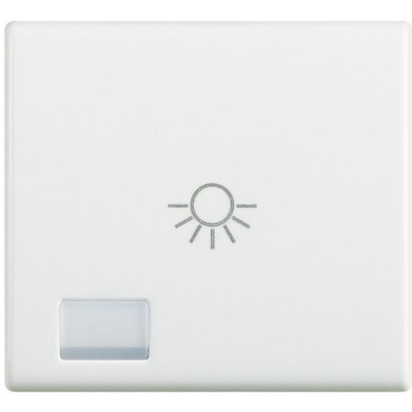 Key cover symbol Light 2 modules
