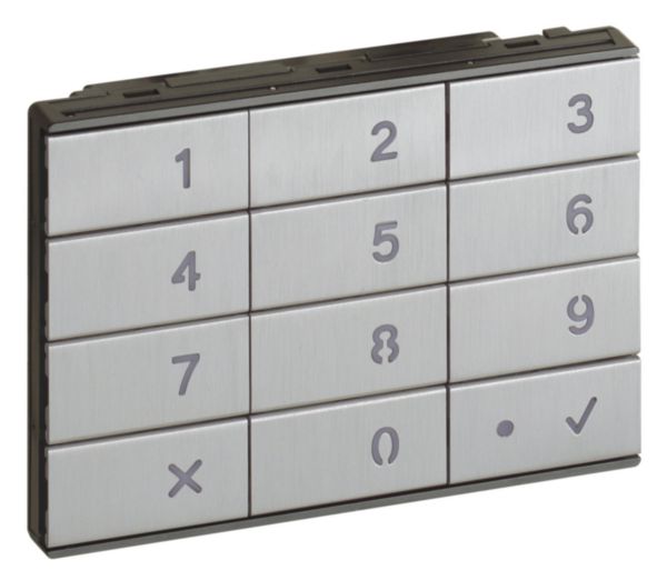 Additional keypad module in Aluminum finish