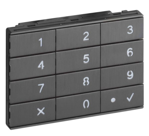 Additional keypad module in Nickel finish