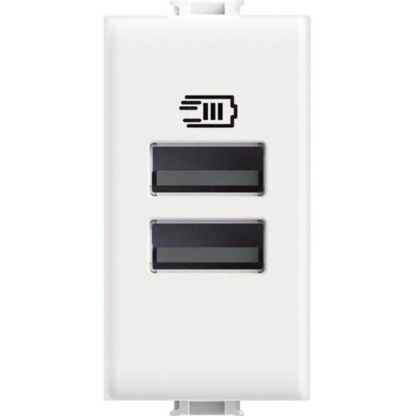 USB charger with 2 type A ports - 15W