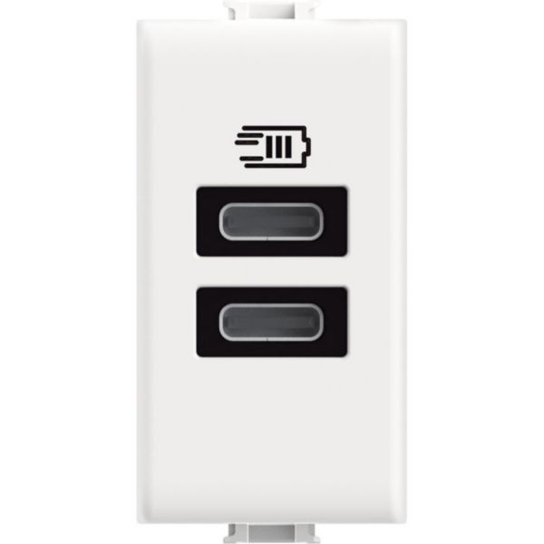 USB charger with 2 type C ports  - 15W