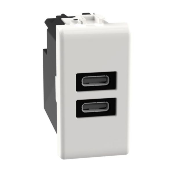 USB charger with 2 type C ports - 20W
