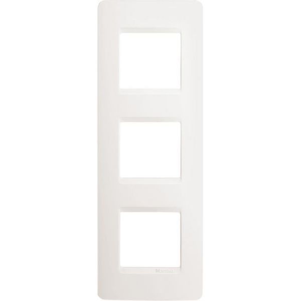 Cover plate 2x3P 71mm vertical