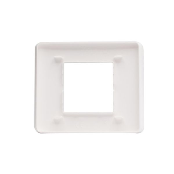 Cover plate - 2 modules