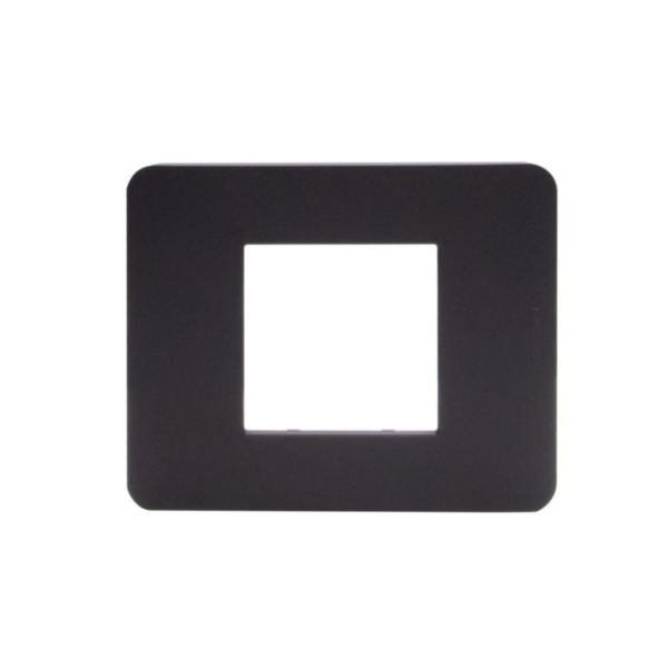 Cover plate - 2 modules 