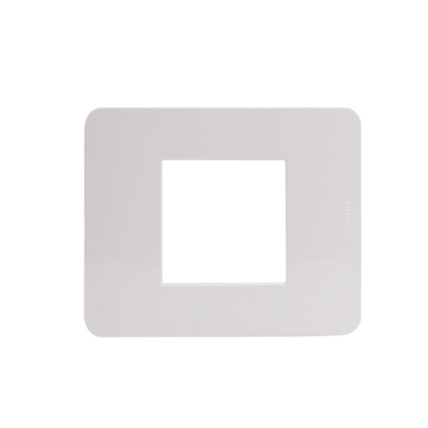 Cover plate - 2 modules