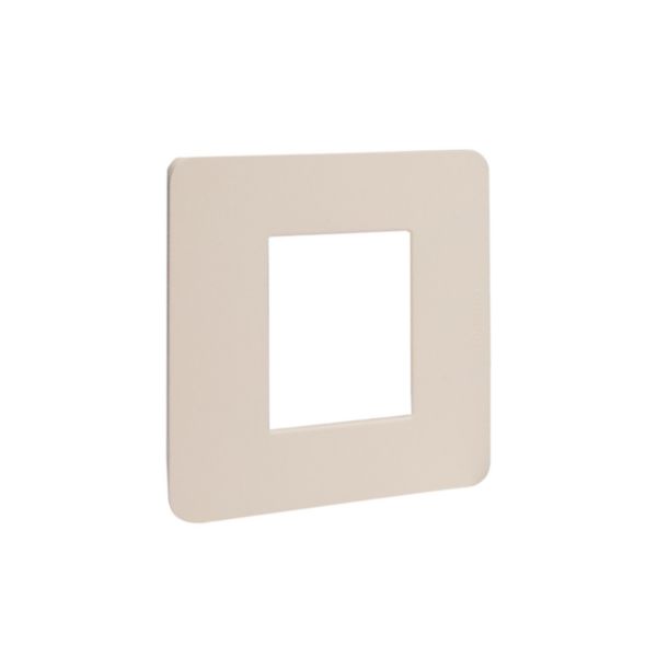 Cover plate - 2 modules
