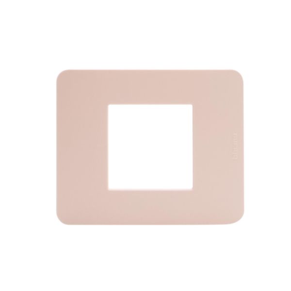 Cover plate - 2 modules