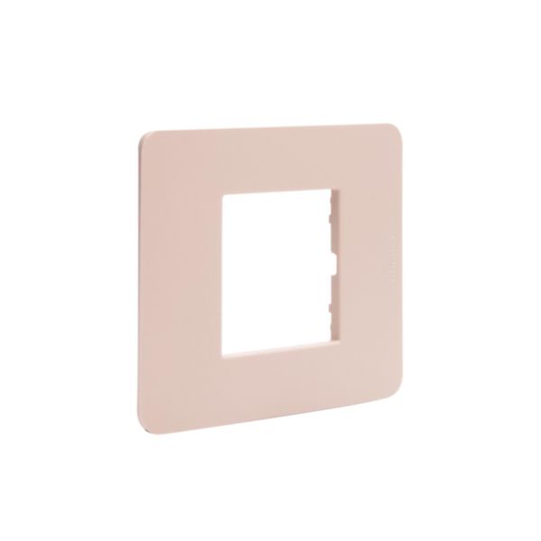 Cover plate - 2 modules