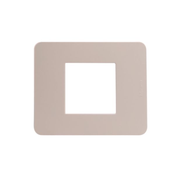 Cover plate - 2 modules