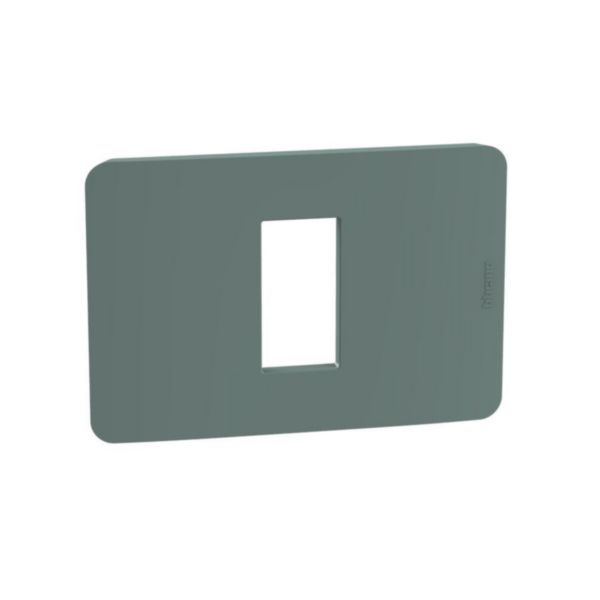 Cover plate - 1 module