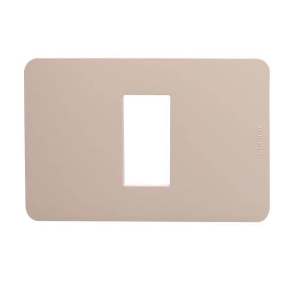 Cover plate - 1 module