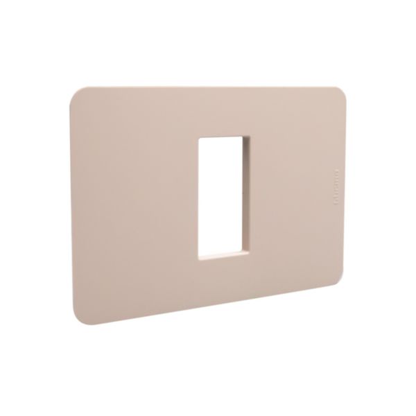Cover plate - 1 module
