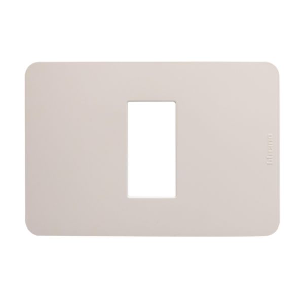 Cover plate - 1 module