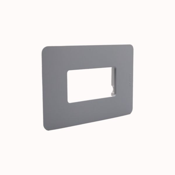 Cover plate - Pass&Saymour modules
