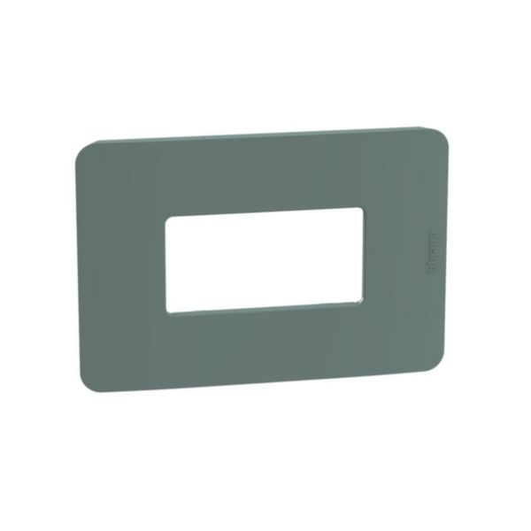 Cover plate - Pass&Saymour modules