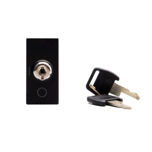 1-way switch 2P 16 AX - 250 Va.c. with key 