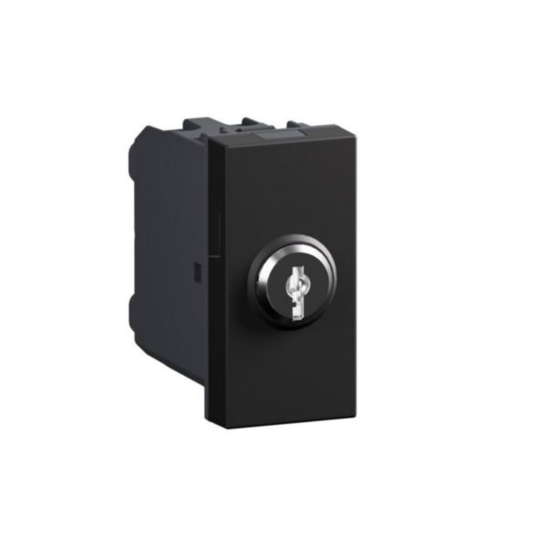 Switch with key. 1-way switch 2P 16 AX - 250 Va.c.