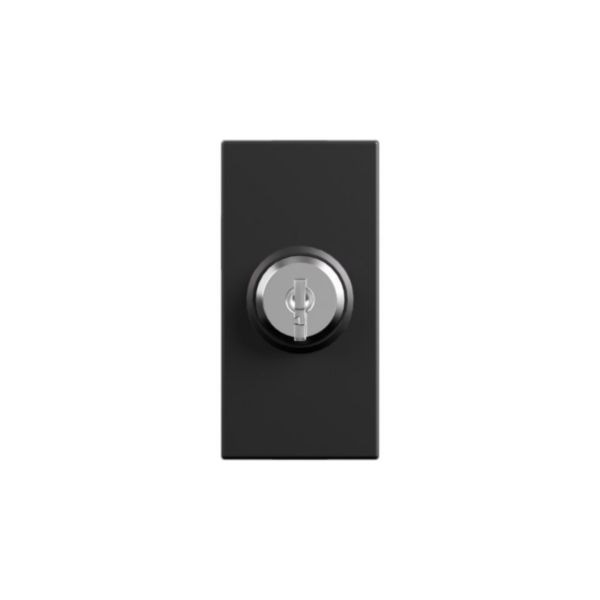 Switch with key. Pushbutton 2P 16 AX - 250 Va.c.