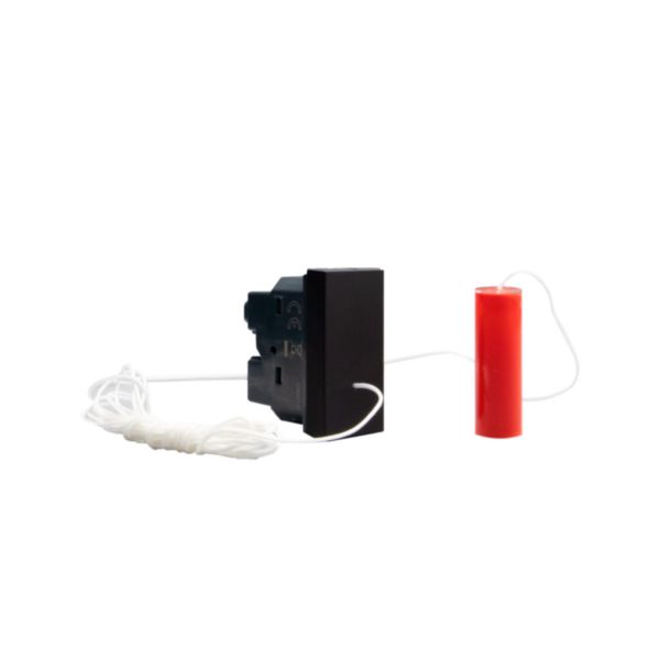 Cord pushbutton 1P NO/NC 10 A 250 Va.c. 
