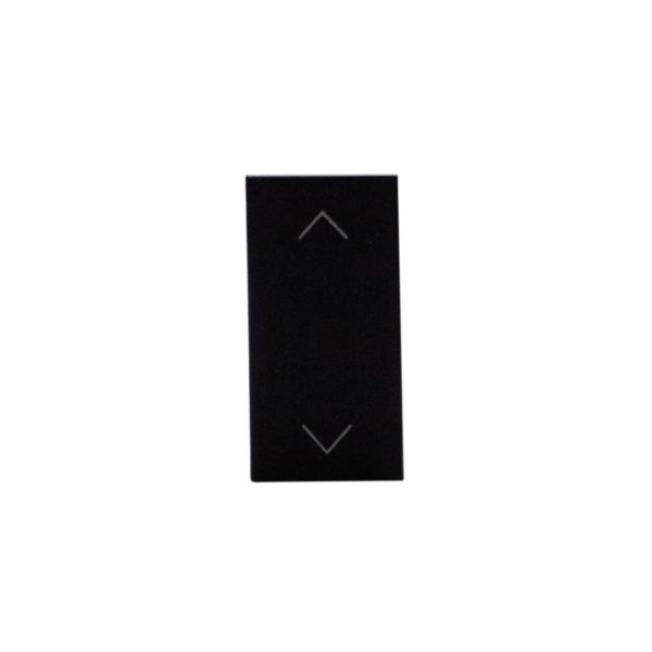 Double pushbutton with interlock 1P NO + 1P NO 10 A 250 Va.c. - not lightable