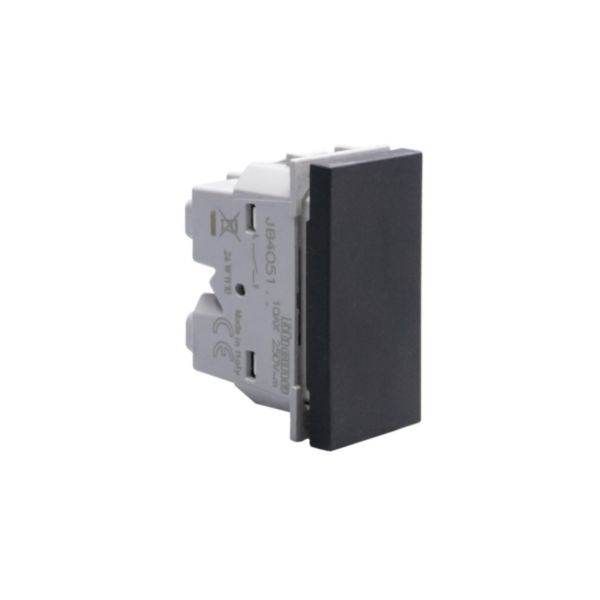 1- way axial switches 1P 10 AX - 250 Va.c. - lightable 