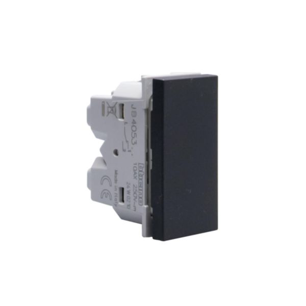 2- way axial switches 1P 10 AX - 250 Va.c. - lightable