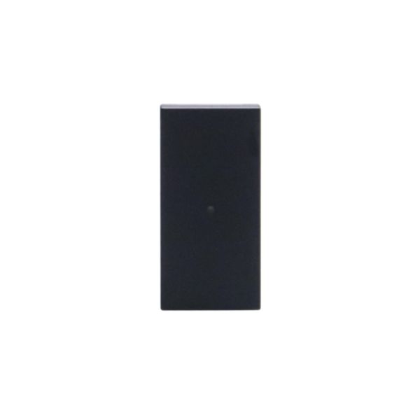 Axial pushbutton 1P NO 10 A - 250 Va.c. - lightable with led lamp - 1 module - Black 