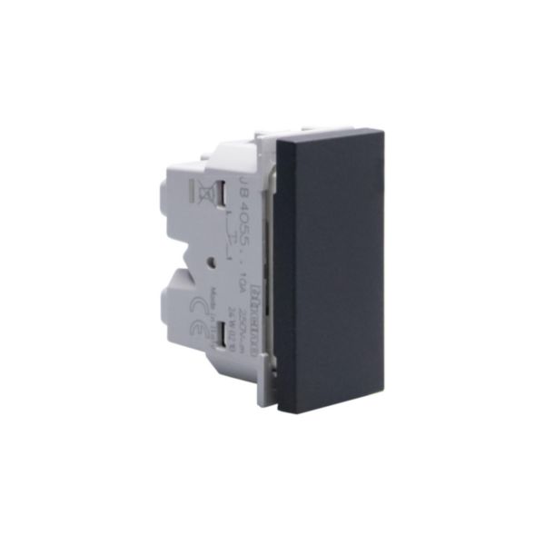Axial pushbutton 1P NO 10 A - 250 Va.c. - lightable with led lamp - 1 module - Black 