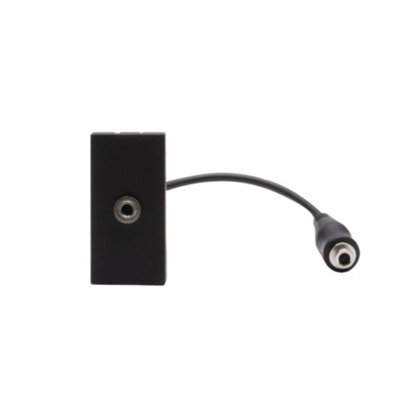 Connector - jack 3.5  - 1 module