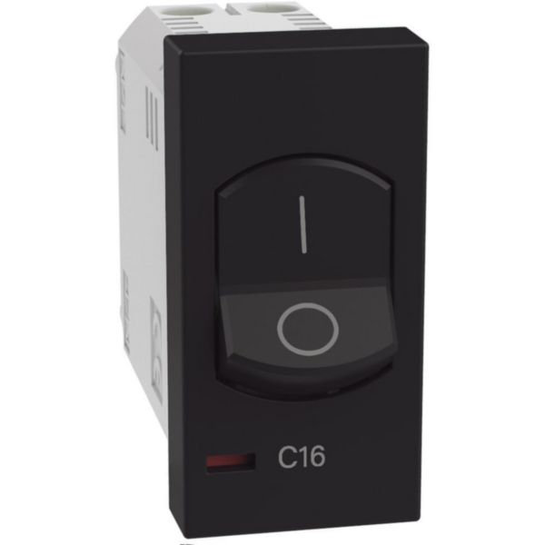 Automatic thermal magnetic circuit breakers. Type Two-pole - In 16 A 